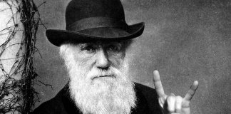 Há 135 anos falecia Charles Darwin, o cientista que revolucionou a maneira como vemos o mundo
