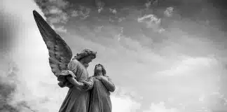 Como aceitar a morte torna a vida mais rica