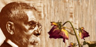 O mais pessoal e profundamente sofrido poema de Machado de Assis