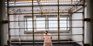 Idosas japonesas estão cometendo crimes para viver na prisão