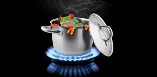 Você aguenta até queimar? Conheça “a síndrome da rã fervida”