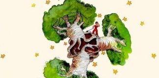 Um baobá no coração – uma reflexão sobre “O pequeno príncipe”