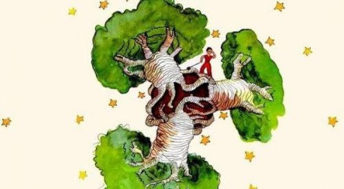 Um baobá no coração – uma reflexão sobre “O pequeno príncipe”