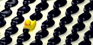 Síndrome de alta exposição: ser odiado por se destacar