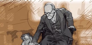 Razões para amar um animal com tanta intensidade