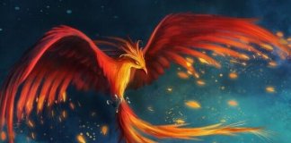 O mito da Fênix ou o maravilhoso poder da resiliência