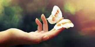 O que você nunca deve fazer pelos outros