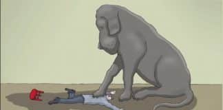 “Eu tinha um cachorro preto chamado depressão”, o curta que nos ajuda a entender esse mal