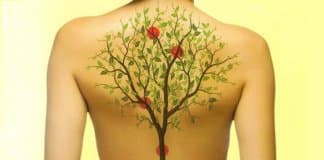 Como as emoções afetam a dor nas costas?