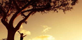 Maturidade significa buscar soluções e não o culpado