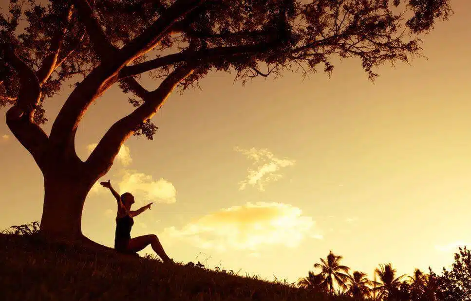 Maturidade significa buscar soluções e não o culpado