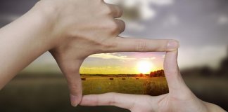 Como funciona e se comporta o cérebro do otimista