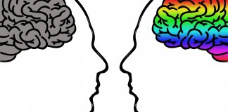 A Psicologia das Compras no E-commerce