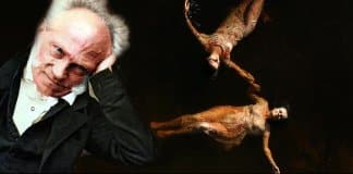 12 Filmes Sobre a Filosofia de Schopenhauer