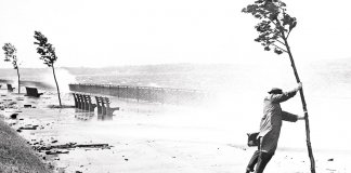 A psicologia da resiliência: prosperando na adversidade