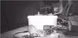 Eletricista descobre que rato arruma suas ferramentas durante a noite