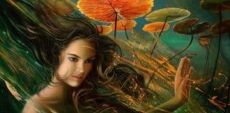 A melhor vingança é a não-vingança: vá em frente e seja feliz