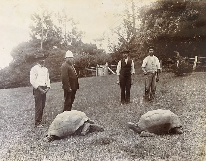 pensarcontemporaneo.com - Este é Jonathan, a tartaruga de 187 anos fotografada em 1886 e hoje
