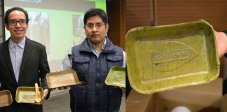 Grupo peruano lança pratos compostáveis feitos de folhas de bananeira