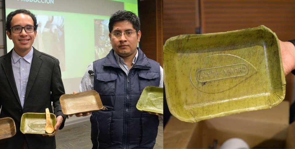 Grupo peruano lança pratos compostáveis feitos de folhas de bananeira