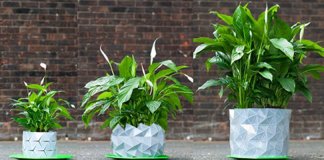 O vaso de origami que muda de forma e se adapta ao tamanho da sua planta à medida que ela cresce