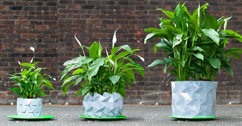 O vaso de origami que muda de forma e se adapta ao tamanho da sua planta à medida que ela cresce
