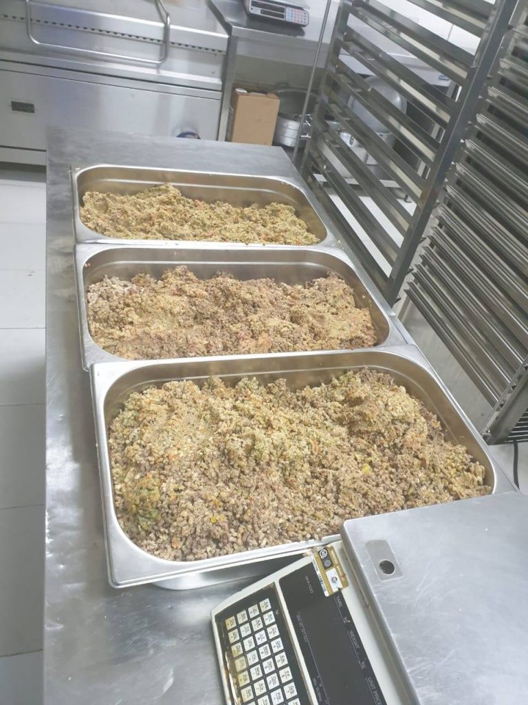 pensarcontemporaneo.com - Hotel 5 Estrelas doa as sobras de comida para alimentar cães de abrigo