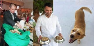 Hotel 5 Estrelas doa as sobras de comida para alimentar cães de abrigo