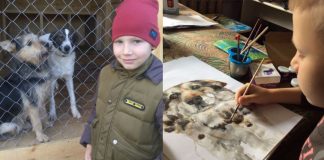 Garoto de 9 anos faz pinturas personalizadas de animais de estimação e as troca por alimentos para animais de abrigo