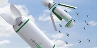 Bombas de sementes para reflorestar o planeta