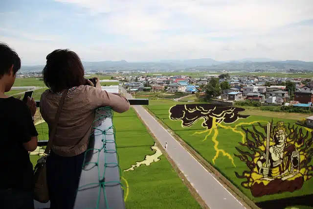 pensarcontemporaneo.com - Agricultores japoneses plantam cepas específicas de arroz para cultivar campos coloridos