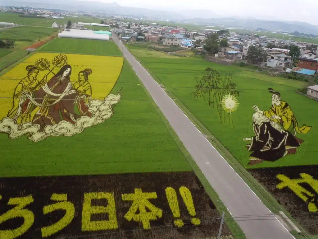 pensarcontemporaneo.com - Agricultores japoneses plantam cepas específicas de arroz para cultivar campos coloridos