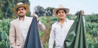 Mexicanos criam “couro” de cactos e trazem novas alternativas à indústria da moda