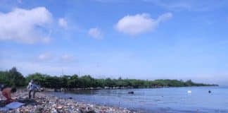 Coca-Cola é o maior poluidor de resíduos plásticos do mundo pelo segundo ano consecutivo