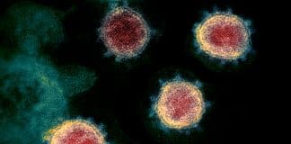 “Momento de prudência, não de pânico”