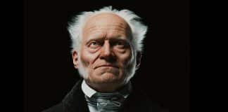 O senso de si de Schopenhauer