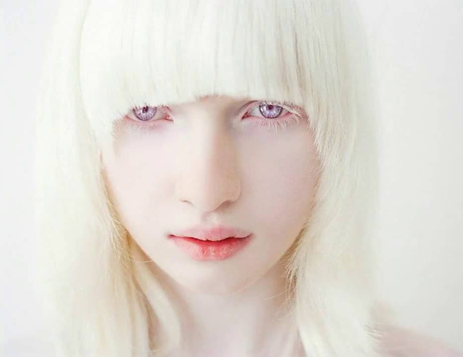 pensarcontemporaneo.com - Esta tartaruga albina é absolutamente deslumbrante