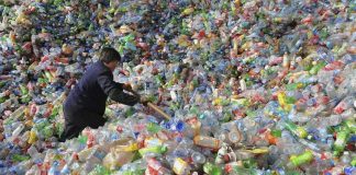 Nova enzima quebra o plástico em horas e permite reciclagem de alta qualidade