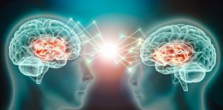 Cérebro empático: o poder da conexão humana