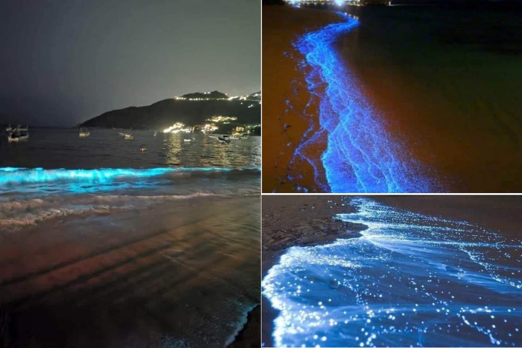 Sem poluição, as ondas da praia de Acapulco brilham novamente pela primeira vez em 60 anos