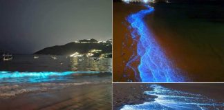 Sem poluição, as ondas da praia de Acapulco brilham novamente pela primeira vez em 60 anos