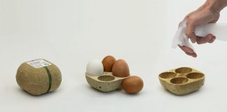 Biopack, a caixa de ovos que você pode plantar e produzir legumes