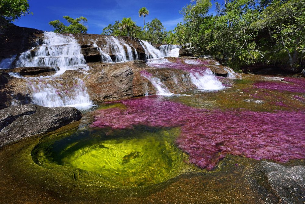 pensarcontemporaneo.com - Este rio 'arco-íris' na Colômbia tem as cores mais incríveis do mundo
