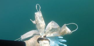 Em breve no Mediterrâneo haverá mais máscaras do que águas-vivas: as imagens do fundo do mar da Riviera Francesa