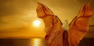 À vida hoje, só posso dizer: Obrigado …