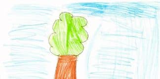 O teste da árvore: descubra a personalidade do seu filho através do desenho