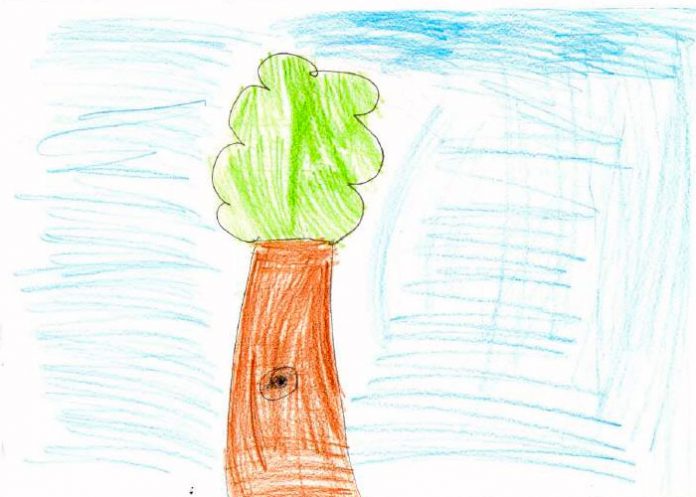 O teste da árvore: descubra a personalidade do seu filho através do desenho