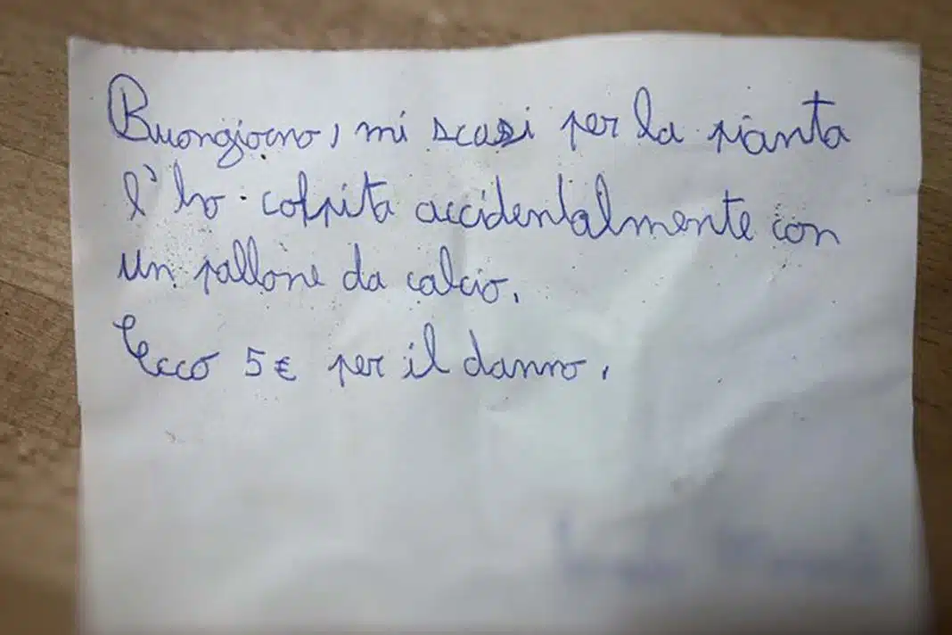 Garoto de 11 anos danifica a planta do vizinho, o bilhete de desculpas é um ótimo exemplo de ética e senso cívico