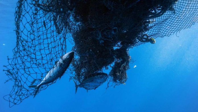 pensarcontemporaneo.com - Instituto Ocean Voyages bate recorde de maior remoção de lixo plástico do Pacífico