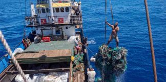 Instituto Ocean Voyages bate recorde de maior remoção de lixo plástico do Pacífico